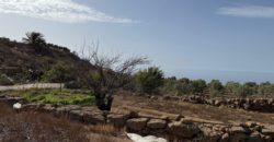 Finca Rústica con Potencial Inversion – San José, Arico, Tenerife