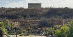 Finca Rústica con Potencial Inversion – San José, Arico, Tenerife