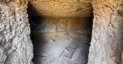 Finca Rústica con Potencial Inversion – San José, Arico, Tenerife