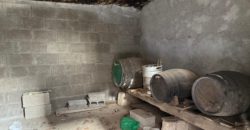 Tu Oasis Canario en Chimiche: Auténtica Casa con Cuevas y Vistas al Océano