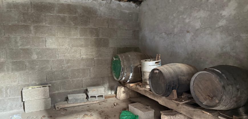 Tu Oasis Canario en Chimiche: Auténtica Casa con Cuevas y Vistas al Océano