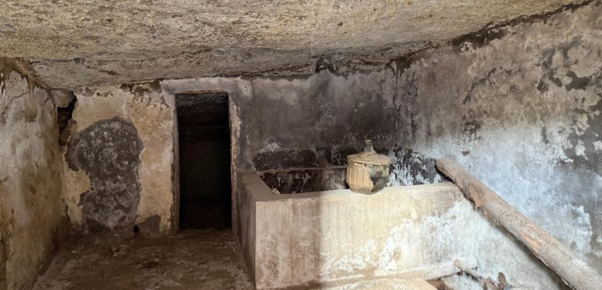 Tu Oasis Canario en Chimiche: Auténtica Casa con Cuevas y Vistas al Océano