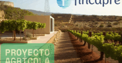 ¡En venta – parcela única con gran potencial en Granadilla de Abona!