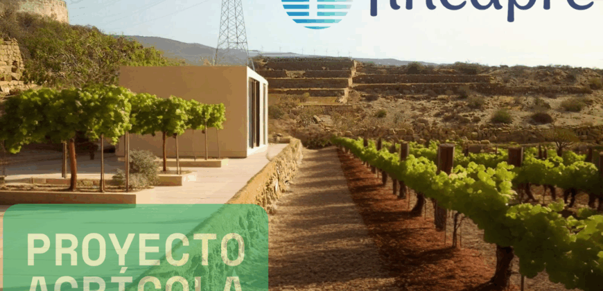 ¡En venta – parcela única con gran potencial en Granadilla de Abona!