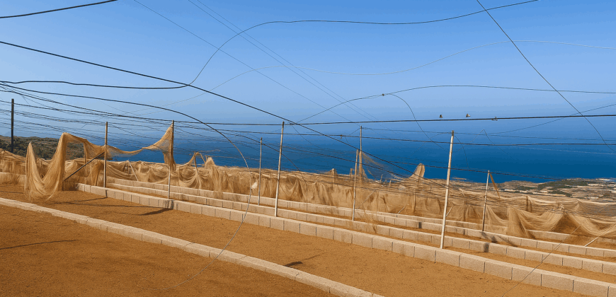 Parcela con proyecto agrícola y vistas espectaculares al mar en Tejina (Guía de Isora)