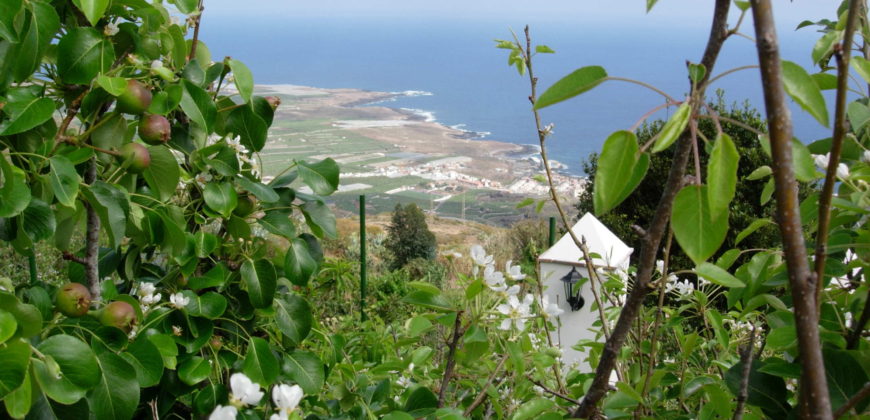 Finca Rústica con Parcela Urbana y Licencia Turística en Los Silos, Tenerife