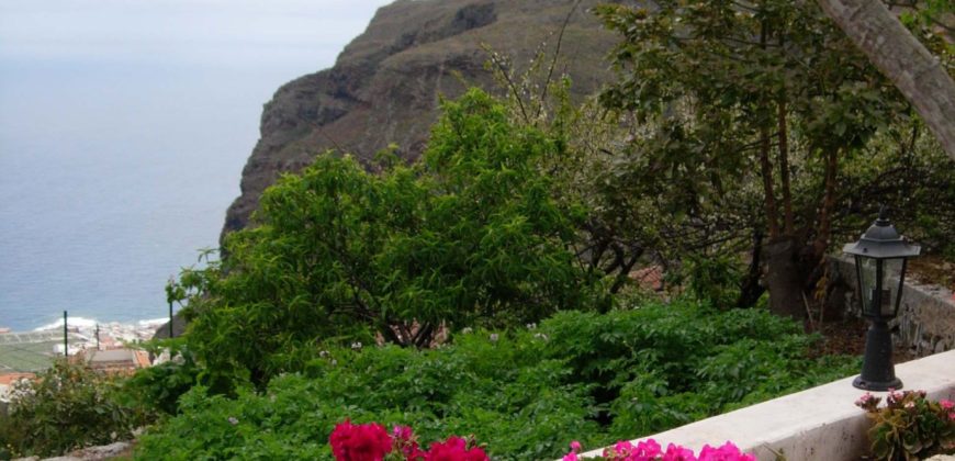 Finca Rústica con Parcela Urbana y Licencia Turística en Los Silos, Tenerife