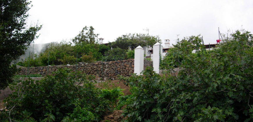 Finca Rústica con Parcela Urbana y Licencia Turística en Los Silos, Tenerife