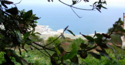 Finca Rústica con Parcela Urbana y Licencia Turística en Los Silos, Tenerife