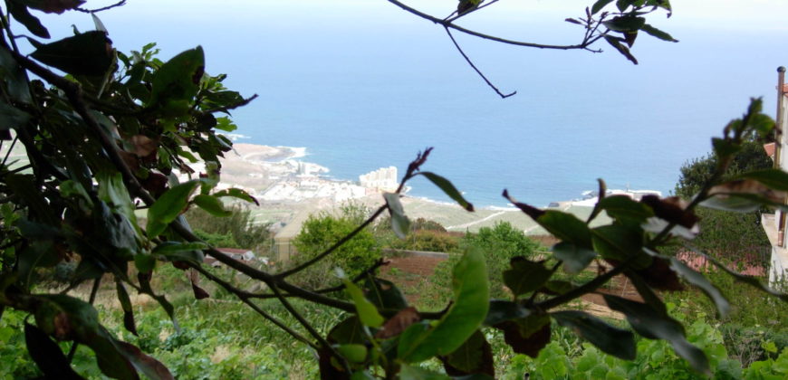 Finca Rústica con Parcela Urbana y Licencia Turística en Los Silos, Tenerife