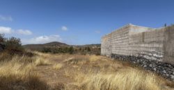 PARCELA RÚSTICA EN GRANADILLA DE ABONA – CRUZ DE TE