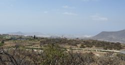 PARCELA RÚSTICA EN GRANADILLA DE ABONA – CRUZ DE TE