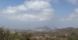 PARCELA RÚSTICA EN GRANADILLA DE ABONA – CRUZ DE TE