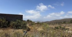 PARCELA RÚSTICA EN GRANADILLA DE ABONA – CRUZ DE TE