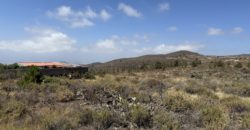 PARCELA RÚSTICA EN GRANADILLA DE ABONA – CRUZ DE TE