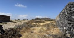 PARCELA RÚSTICA EN GRANADILLA DE ABONA – CRUZ DE TE