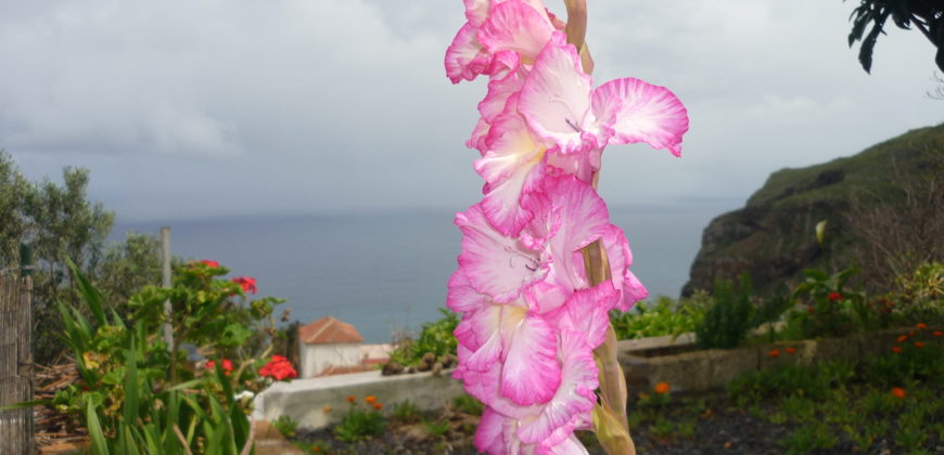 Finca Rústica con Parcela Urbana y Licencia Turística en Los Silos, Tenerife