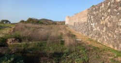 PARCELA RÚSTICA EN GRANADILLA DE ABONA – CRUZ DE TE
