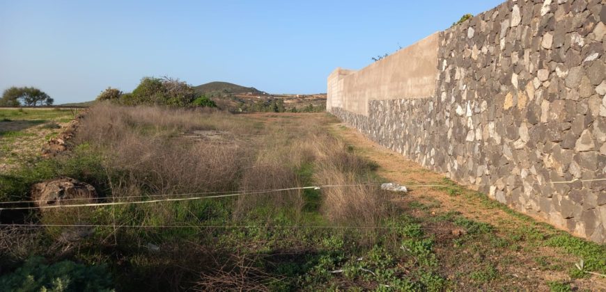 PARCELA RÚSTICA EN GRANADILLA DE ABONA – CRUZ DE TE