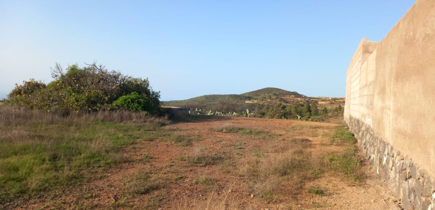 PARCELA RÚSTICA EN GRANADILLA DE ABONA – CRUZ DE TE