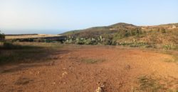 PARCELA RÚSTICA EN GRANADILLA DE ABONA – CRUZ DE TE