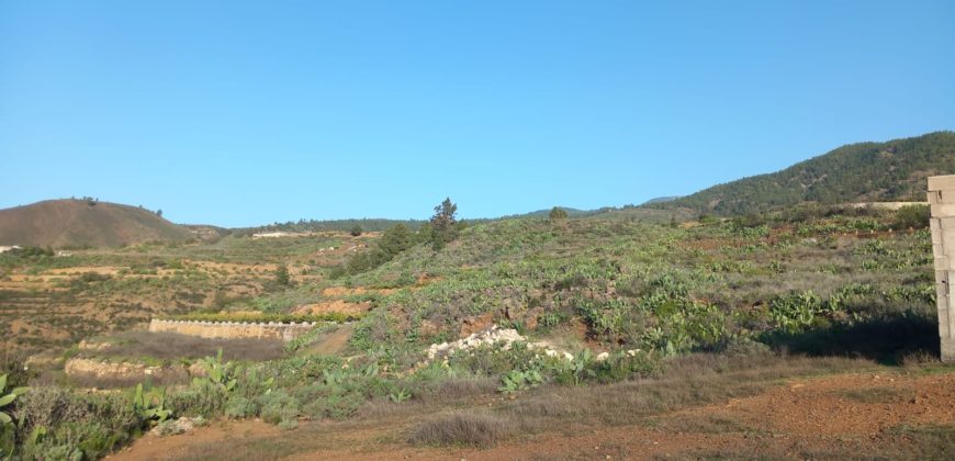 PARCELA RÚSTICA EN GRANADILLA DE ABONA – CRUZ DE TE