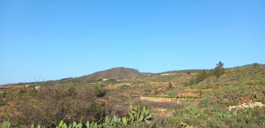 PARCELA RÚSTICA EN GRANADILLA DE ABONA – CRUZ DE TE