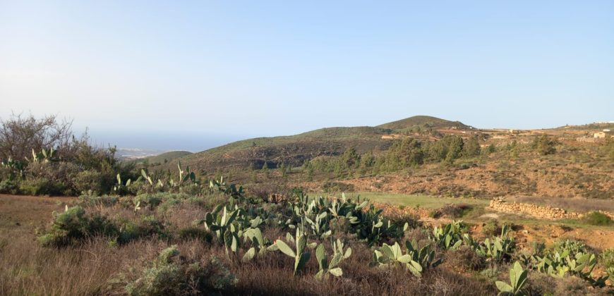 PARCELA RÚSTICA EN GRANADILLA DE ABONA – CRUZ DE TE