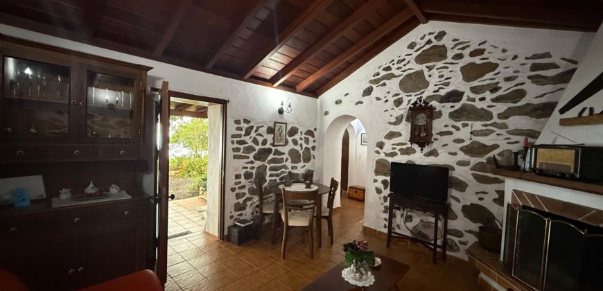 Finca Rústica con Parcela Urbana y Licencia Turística en Los Silos, Tenerife