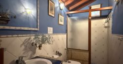 Finca Rústica con Parcela Urbana y Licencia Turística en Los Silos, Tenerife