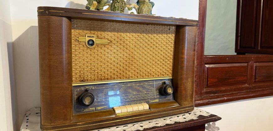 Finca Rústica con Parcela Urbana y Licencia Turística en Los Silos, Tenerife