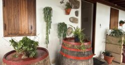 Finca Rústica con Parcela Urbana y Licencia Turística en Los Silos, Tenerife