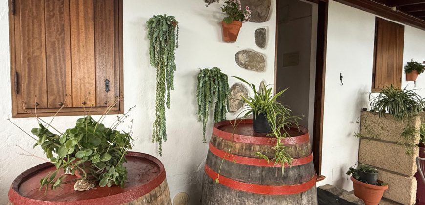 Finca Rústica con Parcela Urbana y Licencia Turística en Los Silos, Tenerife