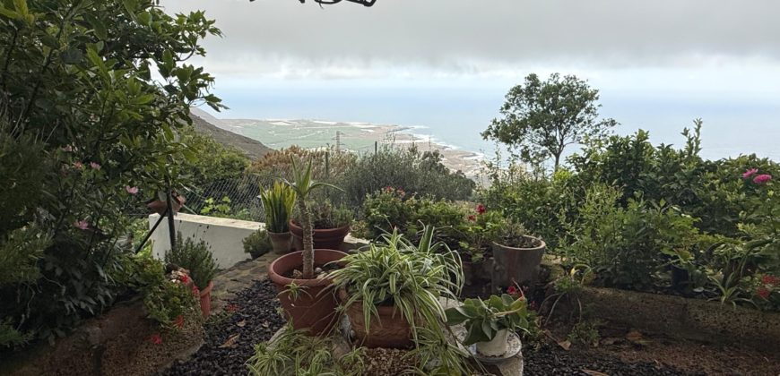 Finca Rústica con Parcela Urbana y Licencia Turística en Los Silos, Tenerife