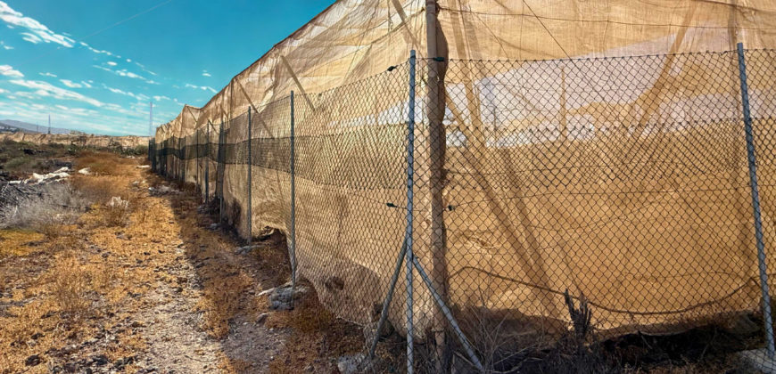 Parcela con invernadero y gran potencial – Tejina, Guía de Isora