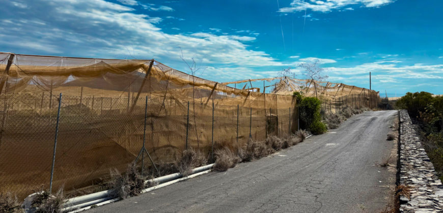 Parcela con proyecto agrícola y vistas espectaculares al mar en Tejina (Guía de Isora)