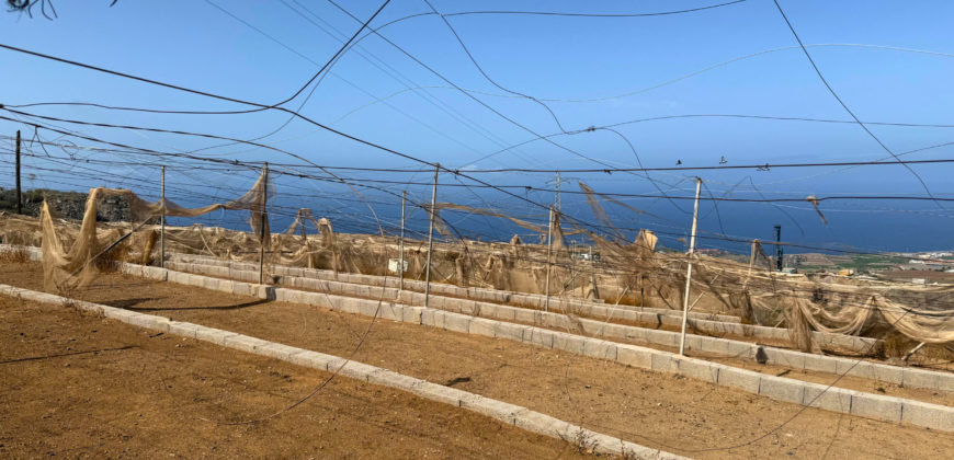 Parcela con invernadero y gran potencial – Tejina, Guía de Isora