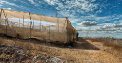 Parcela con invernadero y gran potencial – Tejina, Guía de Isora