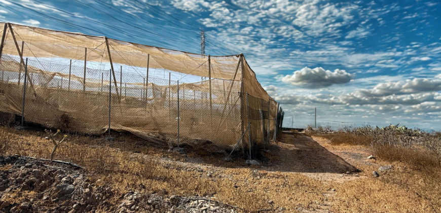 Parcela con invernadero y gran potencial – Tejina, Guía de Isora