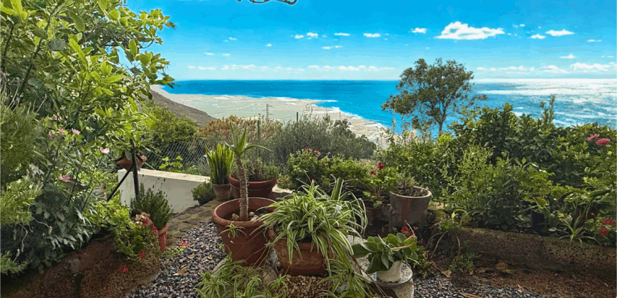 Finca Rústica con Parcela Urbana y Licencia Turística en Los Silos, Tenerife