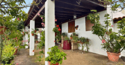 Finca Rústica con Parcela Urbana y Licencia Turística en Los Silos, Tenerife