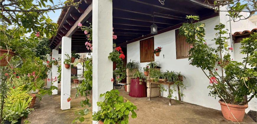 Finca Rústica con Parcela Urbana y Licencia Turística en Los Silos, Tenerife