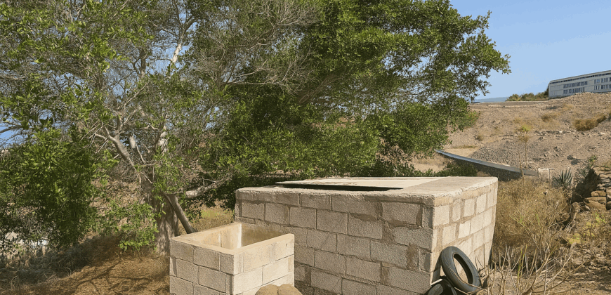 Parcela con proyecto agrícola y vistas espectaculares al mar en Tejina (Guía de Isora)