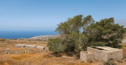 Parcela con proyecto agrícola y vistas espectaculares al mar en Tejina (Guía de Isora)