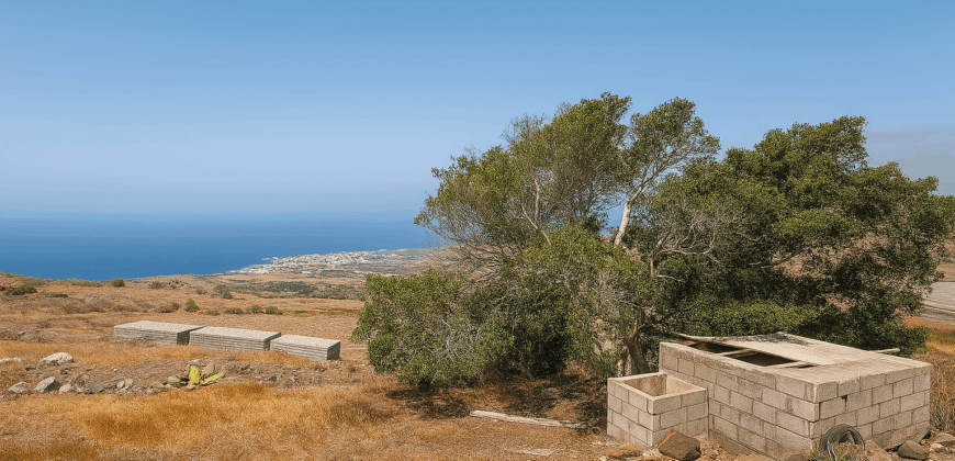 Parcela con proyecto agrícola y vistas espectaculares al mar en Tejina (Guía de Isora)