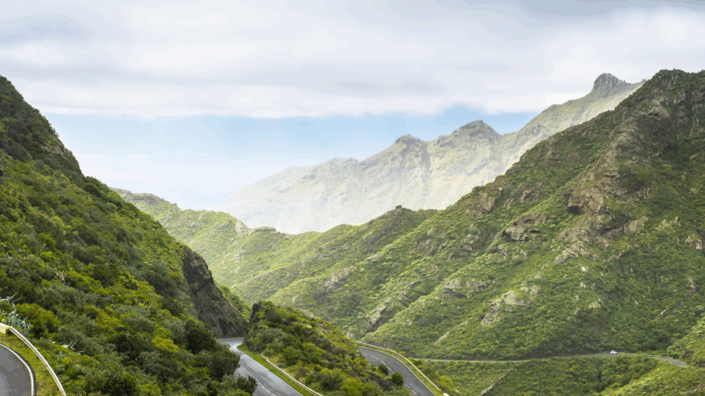 nieruchomosci teneryfa