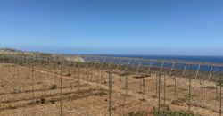 FINCA en venta en Fasnia – Era Nueva