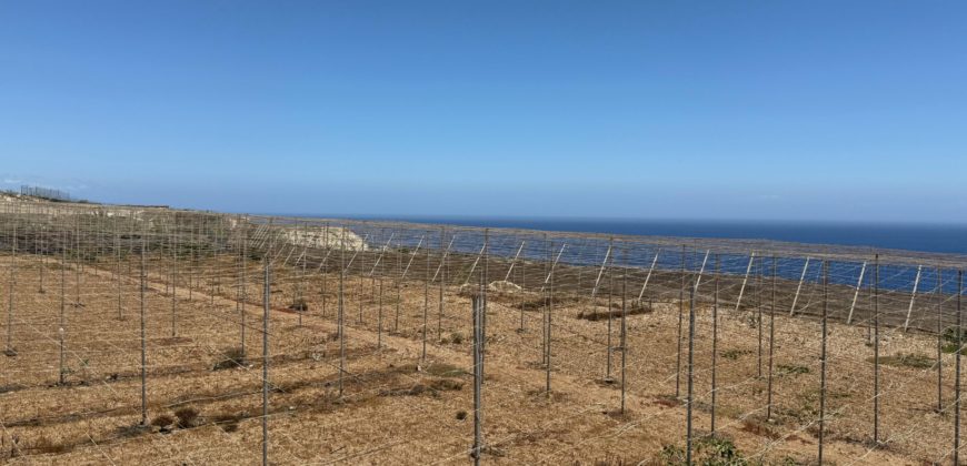 FINCA en venta en Fasnia – Era Nueva