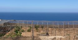 FINCA en venta en Fasnia – Era Nueva