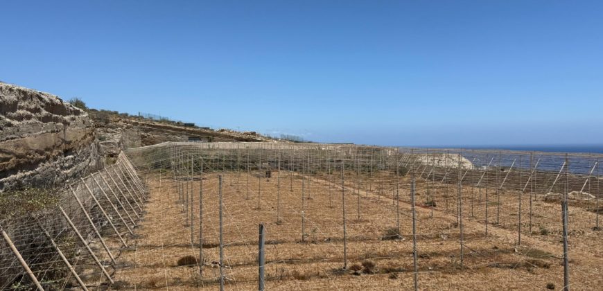 FINCA en venta en Fasnia – Era Nueva